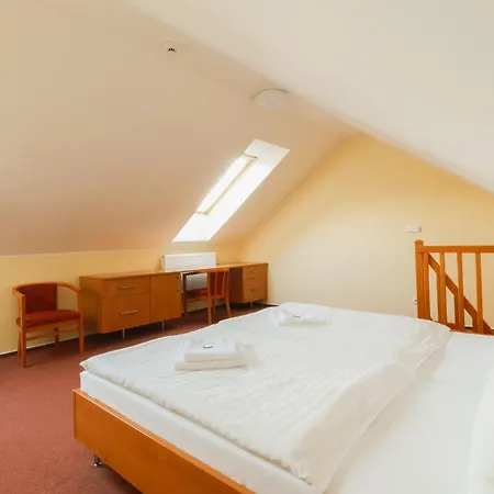 Hotel Ceske Zleby 3*