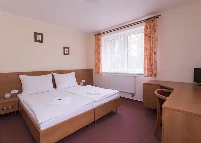 české žleby Hotel