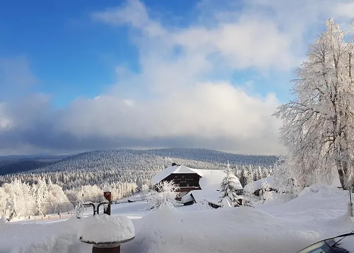Ceske Zleby Отель 3*